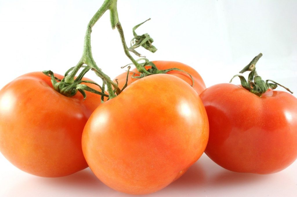 fruits de tomate